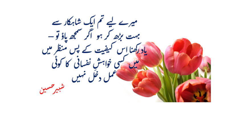 urdu adab poetry